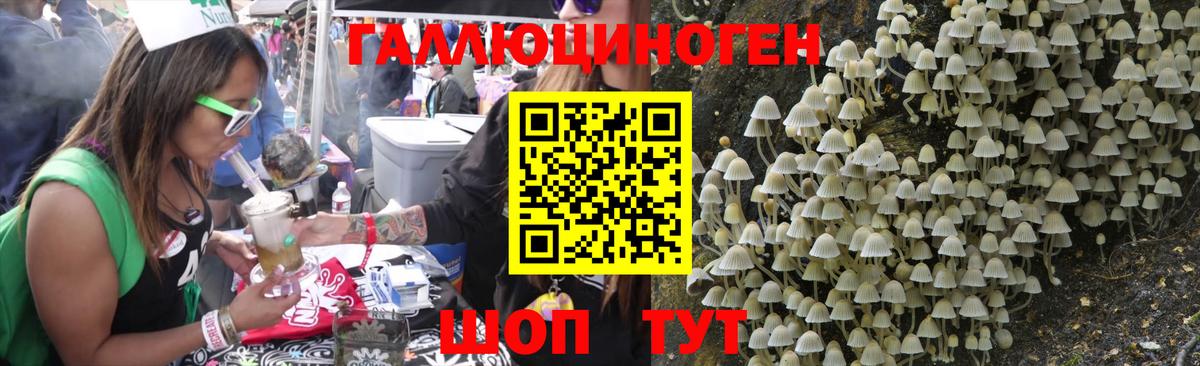 Обнинск  где купить   Вход с VPN  Галлюциногенные грибы MAGIC MUSHROOMS 